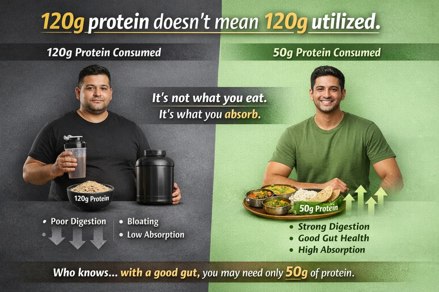 Protein Intake vs Utilization