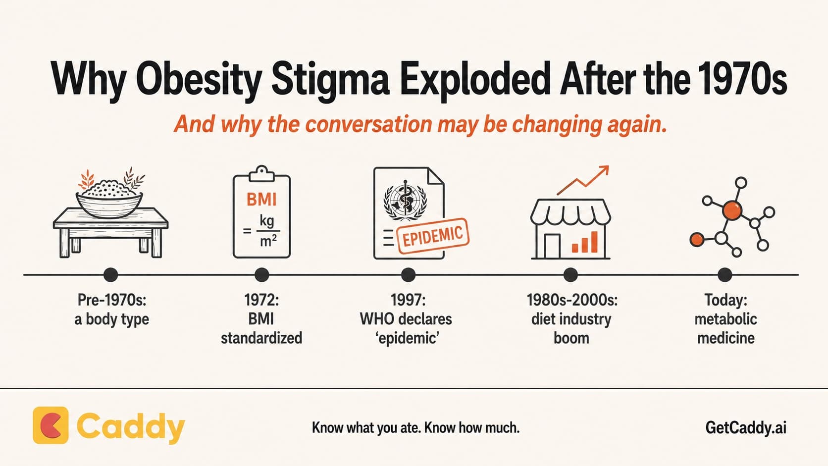 Evolution of overweight and weight loss journey timeline view wide