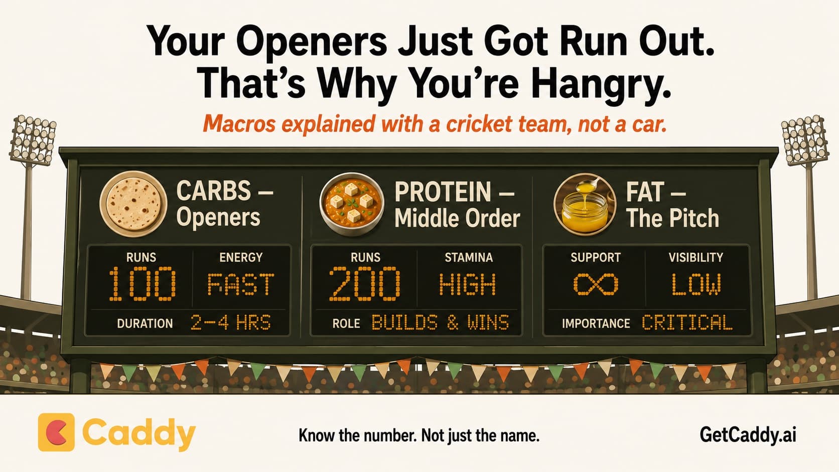 Macros Explained: Carbs, Protein & Fat